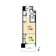 LaSante観音本町（旧：S-RESIDENCE観音本町）の間取り画像
