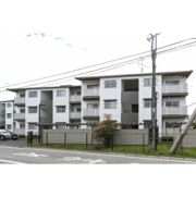 テレパレス柏てるて 北街区 1号棟の外観画像