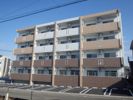 ルミナス下川東の間取り画像