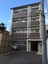 辻が花の外観