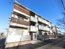 マノアの間取り画像