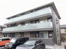 Gesund桂の間取り画像