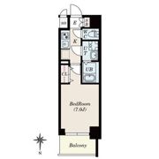 S-RESIDENCE名駅NorthⅡ ☆空きが出ました!!の間取り画像
