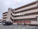 キャピターレの間取り画像