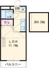 ミュゼ津駅の間取り画像