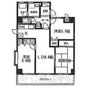 グレース川口の間取り画像