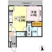 D Paina 日吉本町Ⅱの間取り画像