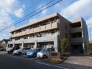 ゴールド・フィールドの間取り画像
