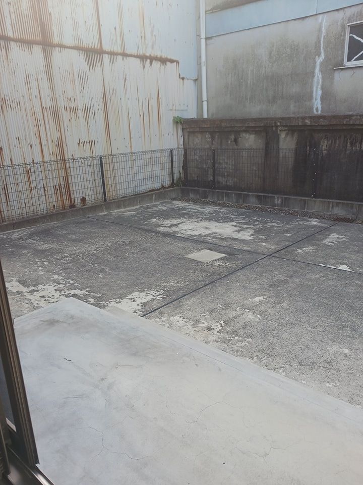 庭