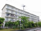 吹上団地 12号棟 1階の外観画像