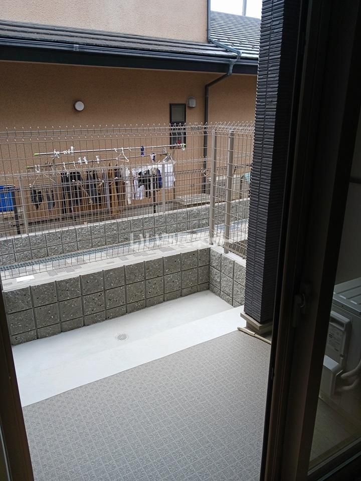庭