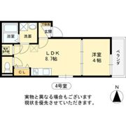 F asecia lipineの間取り画像
