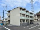 ノヴァ アイビーの間取り画像