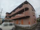 アメニティの間取り画像
