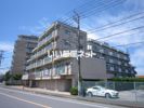 ラフォーレディテの間取り画像