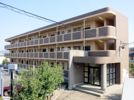フォレストパレス五番館の間取り画像