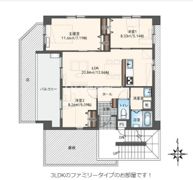 Hale－mokku（ハレモック）の間取り画像