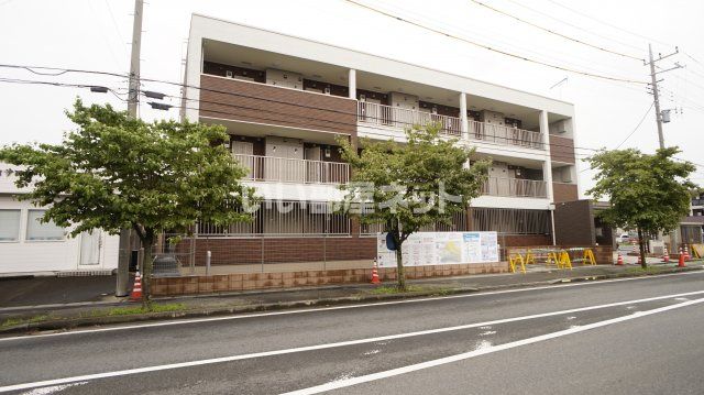 グラシオッソカツラの外観画像