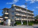 フェニックスの間取り画像