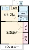 リベラル明野の間取り画像