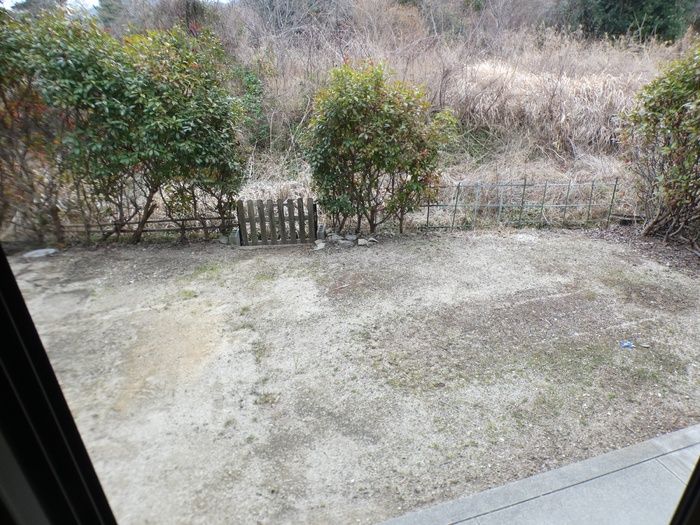 庭