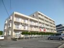 パークハイツ3号館の間取り画像