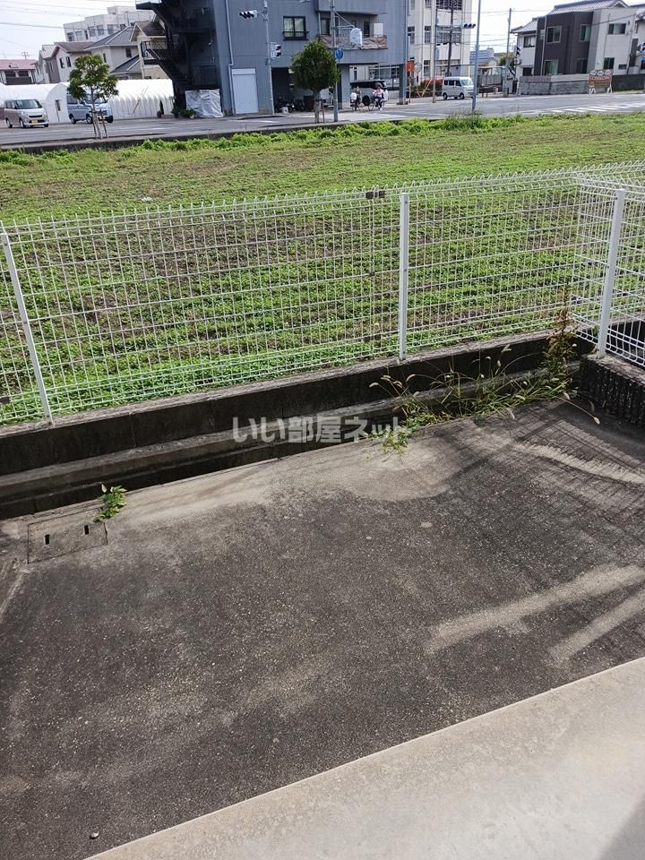 庭