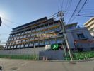 プレディアコート鷺沼の間取り画像