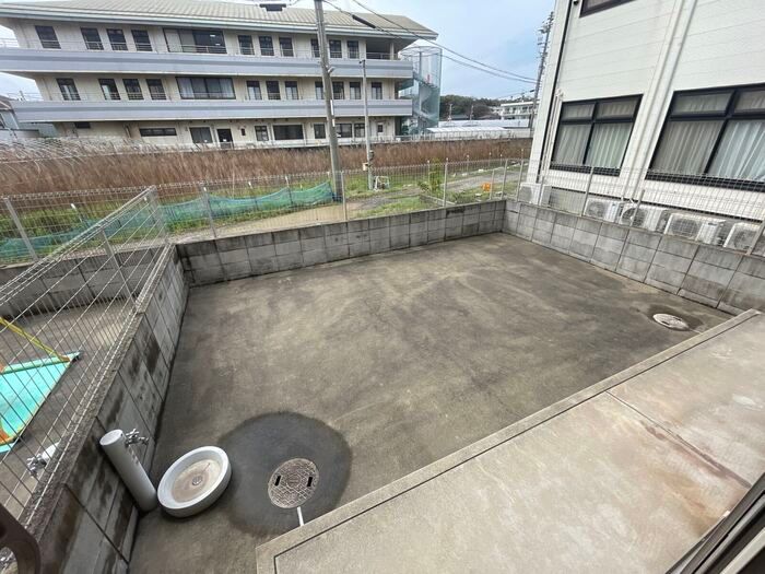 庭