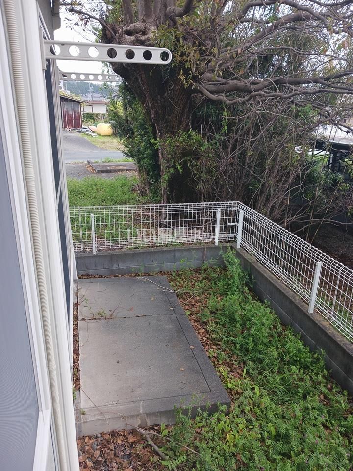庭