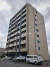 ソルティ517の間取り画像