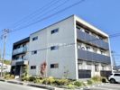Farfalleの間取り画像