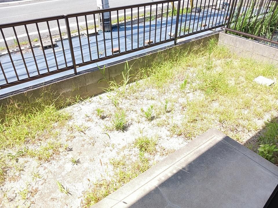 庭