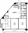 井堀ハイツの間取り画像