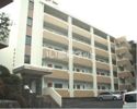 井堀ハイツの間取り画像