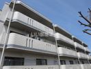 コンホートハイツの間取り画像