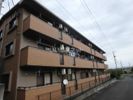 SunRise六番館の間取り画像