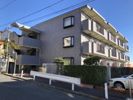 ベルデュール麻生壱番館の間取り画像