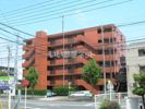 アスティ末広の間取り画像