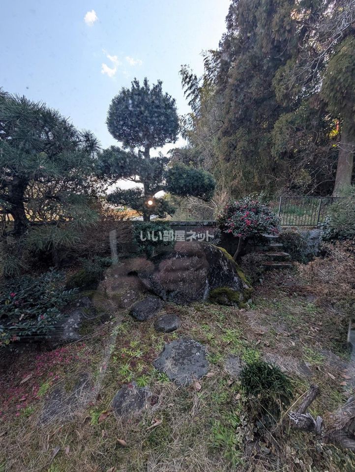 庭