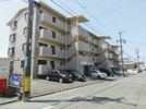 胡蝶羽根井の間取り画像