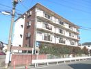 エクレール西湘の間取り画像