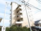 グルービーMの間取り画像
