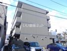 ドルチェ市之町の間取り画像