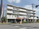 スガヤハイツの間取り画像