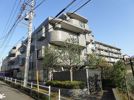 ライオンズヒルズ成増の間取り画像