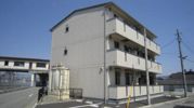 セジュール乙女口の間取り画像
