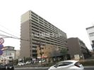 ポレスターセントラルシティ桜の間取り画像