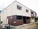 ライト スプリングの外観