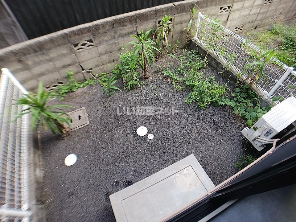 庭